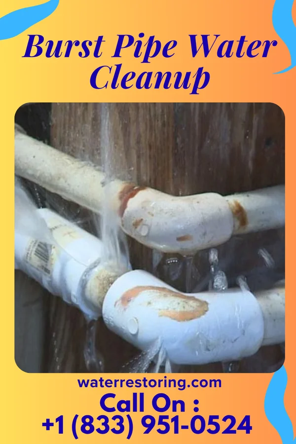 Burst Pipe Water Cleanup in Belle Haven, VA