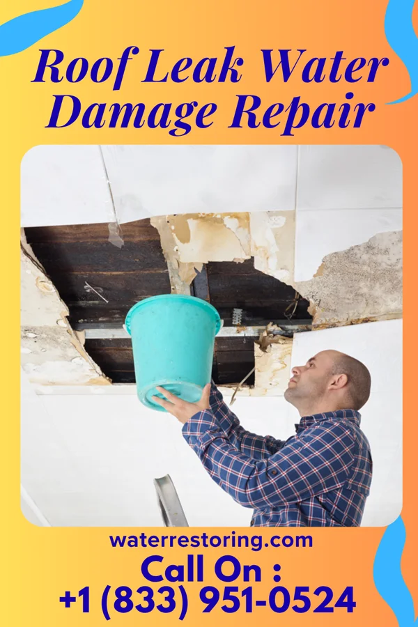 Roof Leak Water Damage Repair in Belle Haven, VA