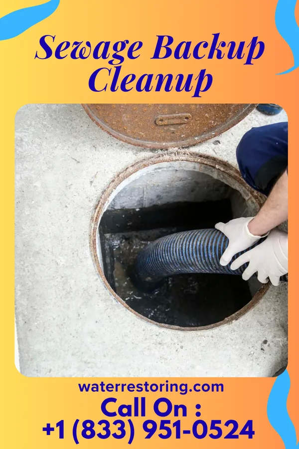 Sewage Backup Cleanup in Belle Haven, VA